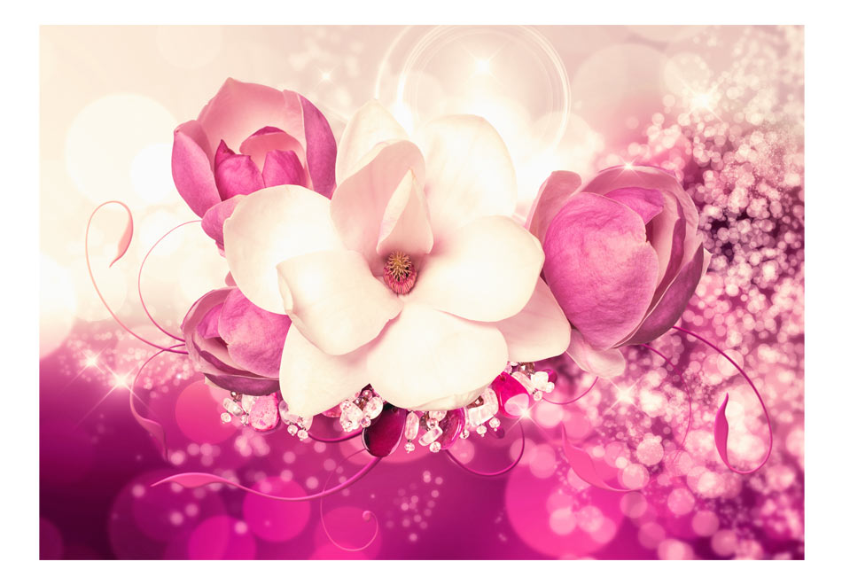 Papiers peints > Fleurs > Magnolias