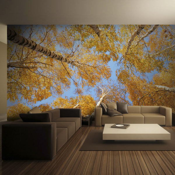Papier Peint Panoramique Arbres d'automne