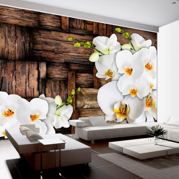 Papier Peint Panoramique Blooming orchids