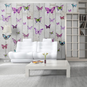 Papier Peint Panoramique Butterflies and Concrete