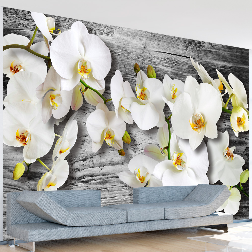Papier Peint Panoramique Callous orchids III