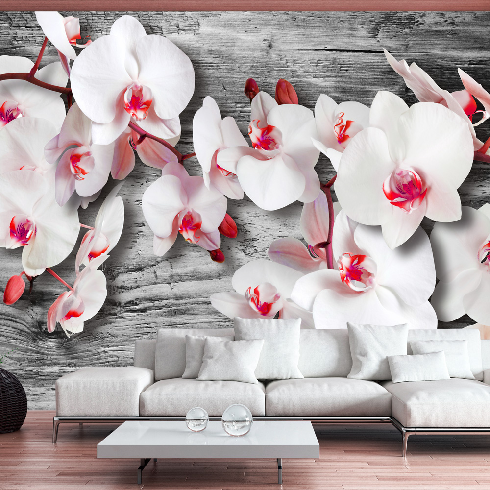 Papier Peint Panoramique Callous orchids