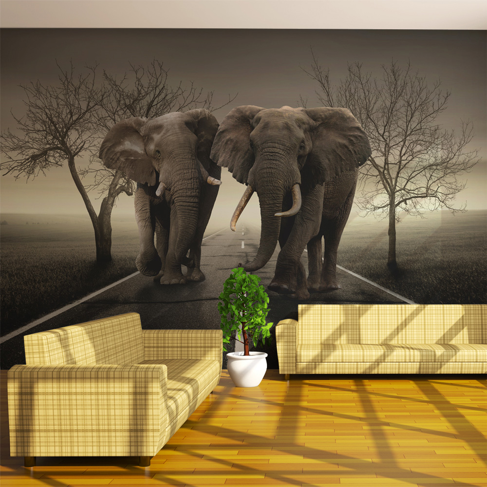 Papier Peint Panoramique City of elephants