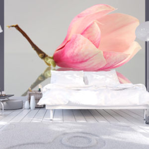 Papier Peint Panoramique Fleur de magnolia solitaire