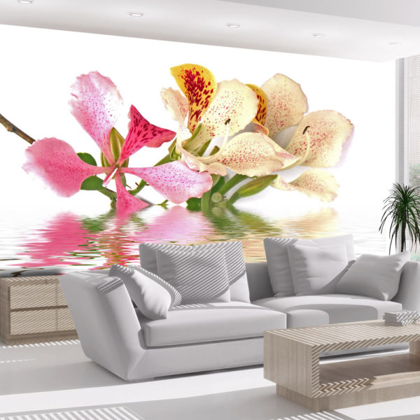 Papier Peint Panoramique Fleurs tropicales - arbre aux orchidées (bauhinia)