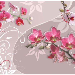Papiers peints > Fleurs > Orchidées