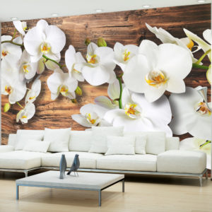 Papier Peint Panoramique Forest Orchid