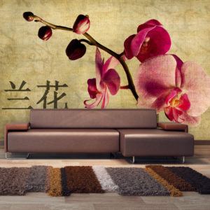 Papier Peint Panoramique Japanese orchid