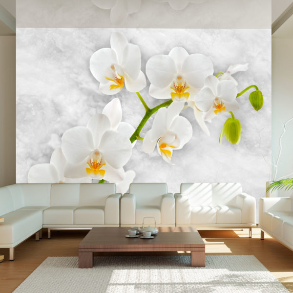Papier Peint Panoramique Lyrical orchid - White