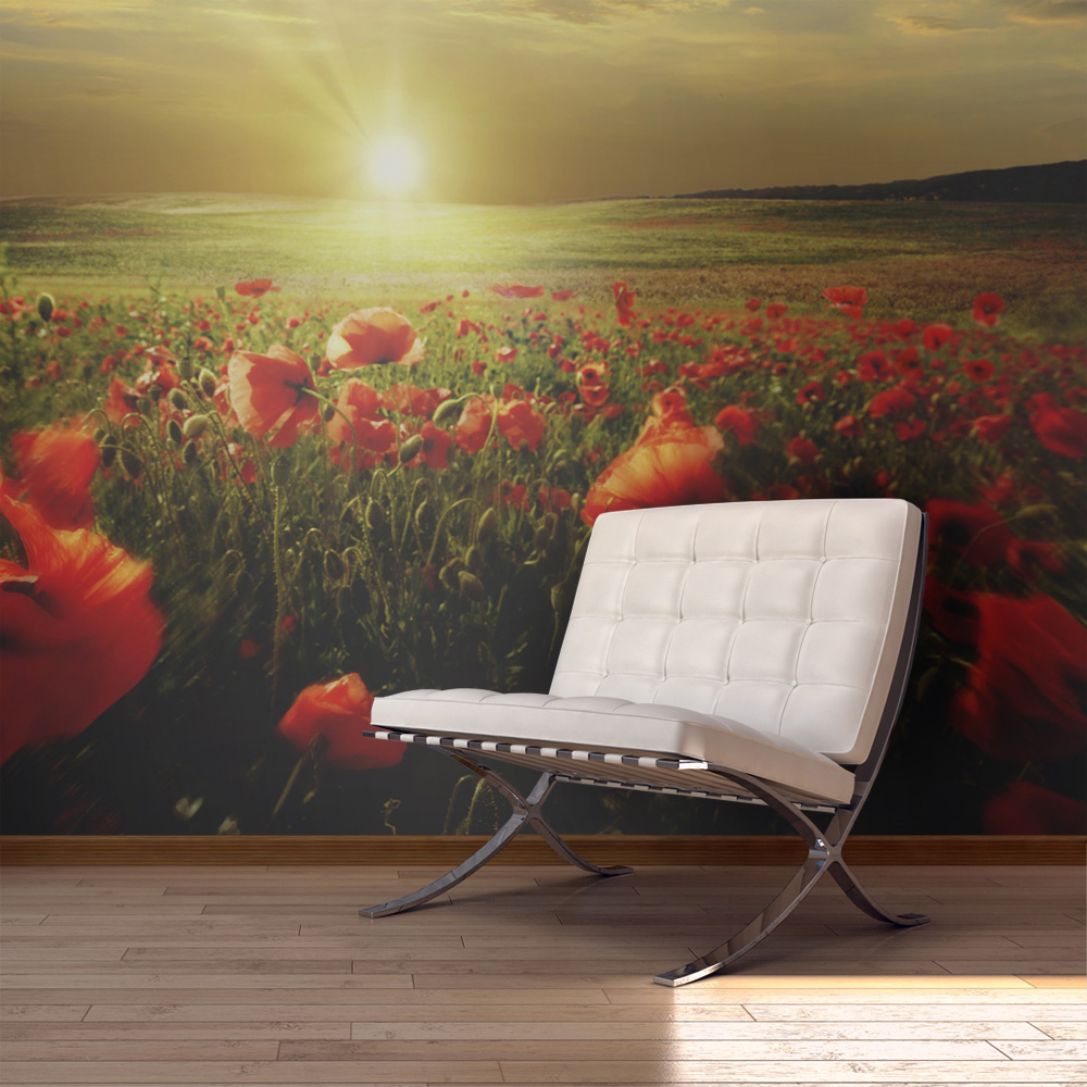 Papier Peint Panoramique Morning on the poppy meadow