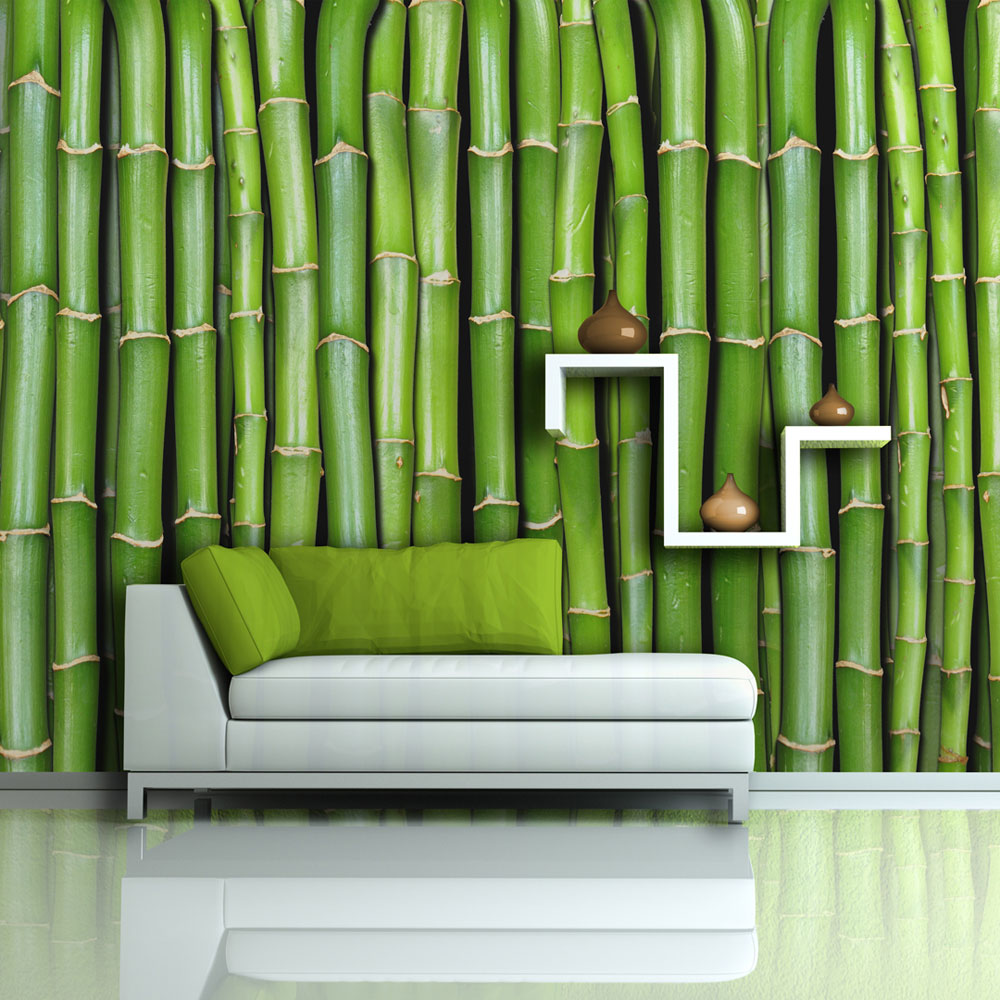  Papier  peint  Mur vert  bambou  Wow D coration