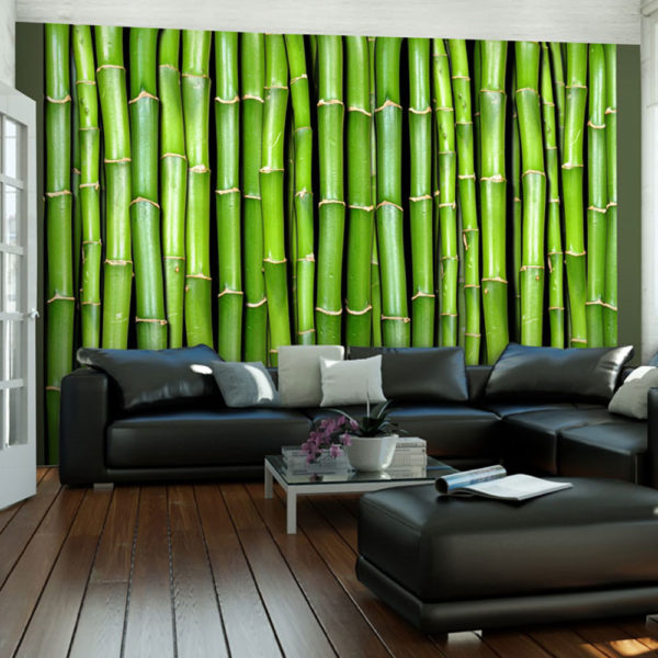 Papier Peint Panoramique Mur vert bambou
