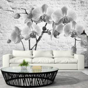 Papier Peint Panoramique Orchid in Shades of Gray