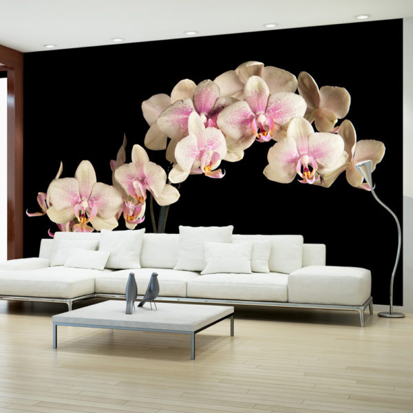 Papier Peint Panoramique Orchidée en fleurs