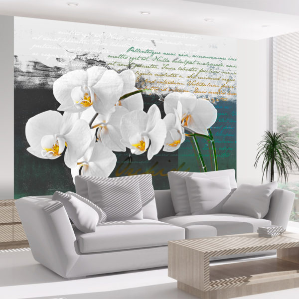 Papier Peint Panoramique Orchidées - inspiration du poète