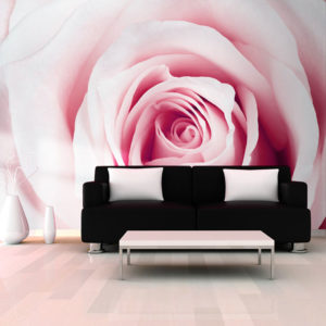 Papier Peint Panoramique Rose maze