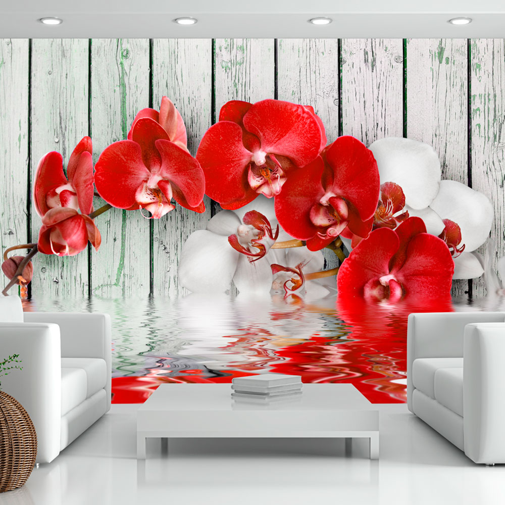 Papier Peint Panoramique Ruby orchid