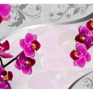 Tapisserie murales Fleurs > Orchidées