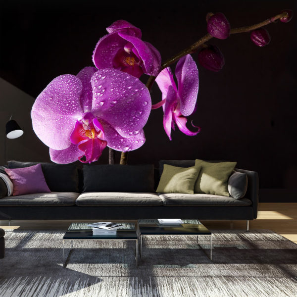 Papier Peint Panoramique de bon goût  orchidée