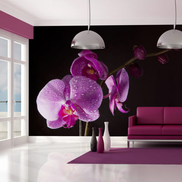 Papier Peint Panoramique de bon goût  orchidée