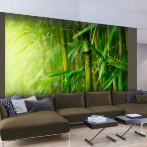 Papier Peint Panoramique jungle - bambou