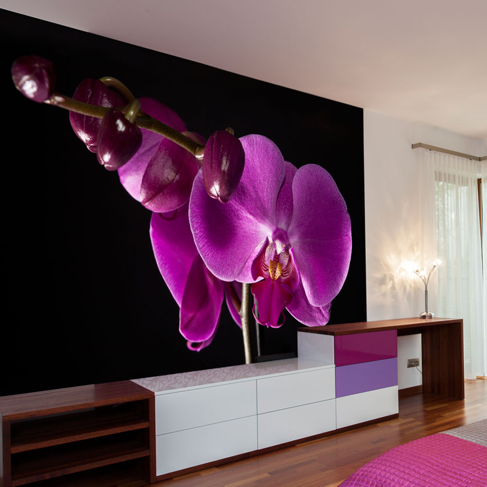 Papier Peint Panoramique élégant  orchidée