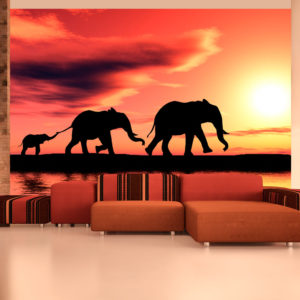 Papier Peint Panoramique éléphants: famille