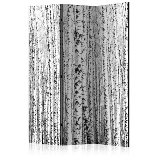 Paravent 3 volets - Birch forest