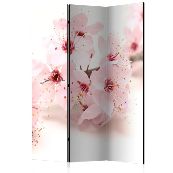Paravent 3 volets - Cherry Blossom