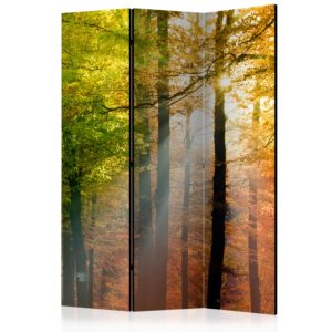 Paravent 3 volets - Forest Colours