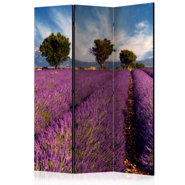 Paravent 3 volets - Lavender field in Provence