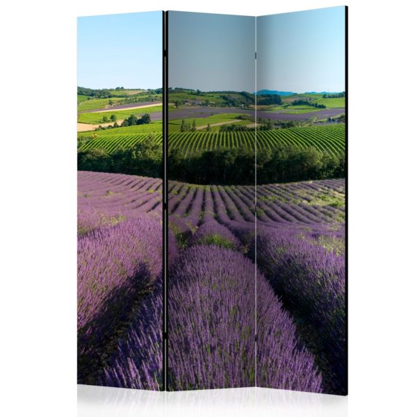 Paravent 3 volets - Lavender fields