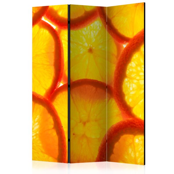 Paravent 3 volets - Orange slices