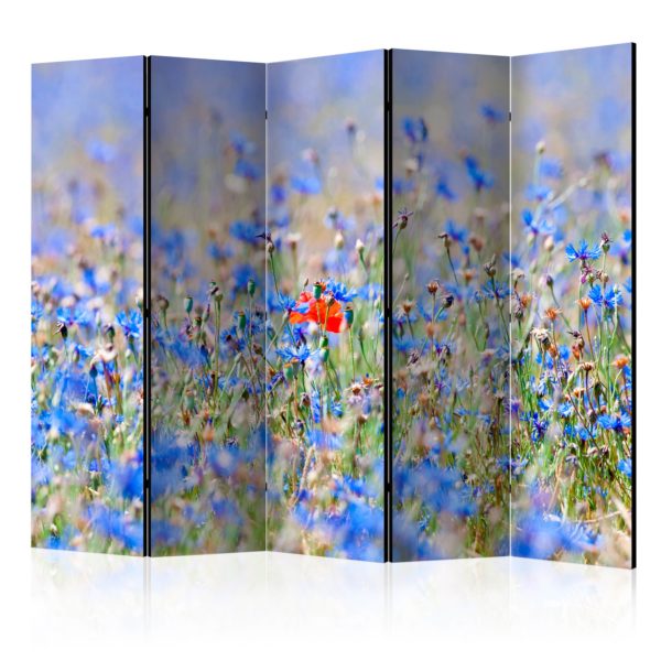 Paravent 5 volets - A sky-colored meadow - cornflowers