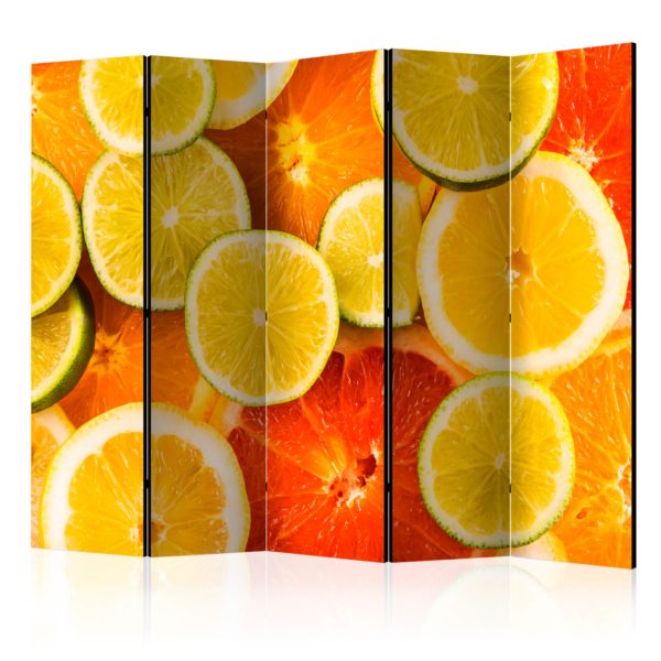 Paravent 5 volets - Citrus fruits