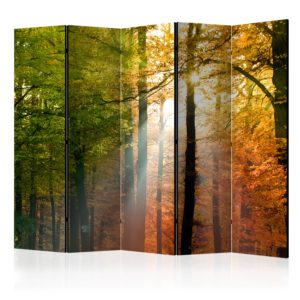 Paravent 5 volets - Forest Colours