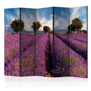 Paravent 5 volets - Lavender field in Provence