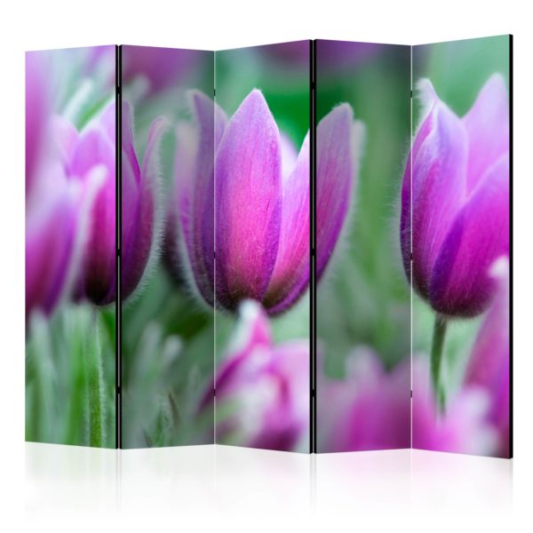 Paravent 5 volets - Purple spring tulips