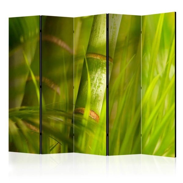 Paravent 5 volets - bamboo - nature zen