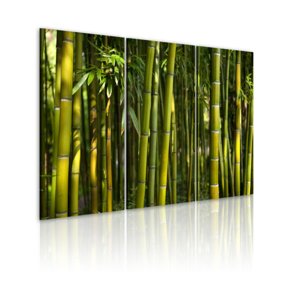 Tableau - Bambou et vert fait partie des tableaux murales de la collection de worldofwomen découvrez ce magnifique tableau exclusif chez nous