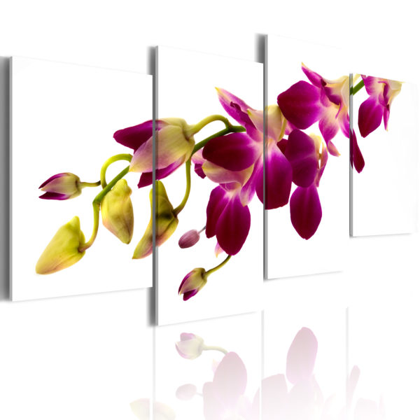 Tableau - Eclat d'une orchidée fait partie des tableaux murales de la collection de worldofwomen découvrez ce magnifique tableau exclusif chez nous