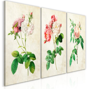 Tableau - Floral Trio (Collection) fait partie des tableaux murales de la collection de worldofwomen découvrez ce magnifique tableau exclusif chez nous
