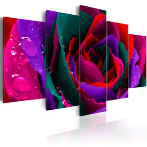 Tableau - Multicoloured rose fait partie des tableaux murales de la collection de worldofwomen découvrez ce magnifique tableau exclusif chez nous