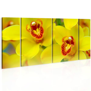 Tableau - Orchids - intensity of yellow color fait partie des tableaux murales de la collection de worldofwomen découvrez ce magnifique tableau exclusif chez nous
