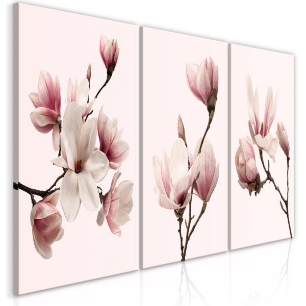 Tableau - Spring Magnolias (3 Parts) fait partie des tableaux murales de la collection de worldofwomen découvrez ce magnifique tableau exclusif chez nous