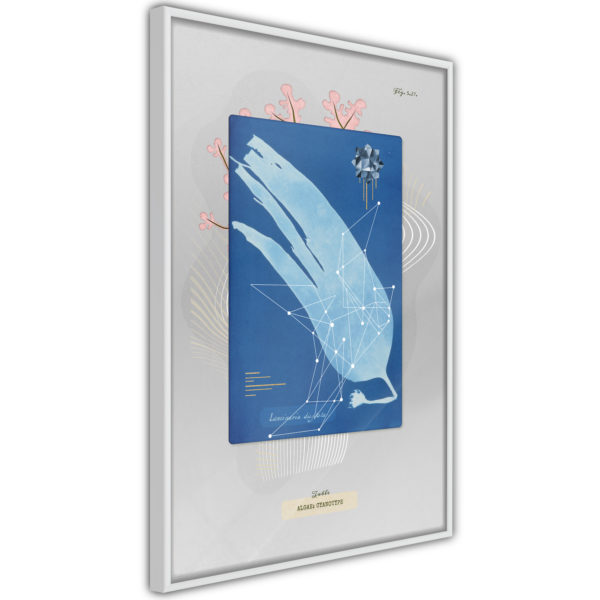 Apportez une nouvelle douche déco avec le Poster et affiche - Alga Cyanotype