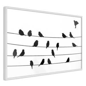 Apportez une nouvelle douche déco avec le Poster et affiche - Birds Council Meeting