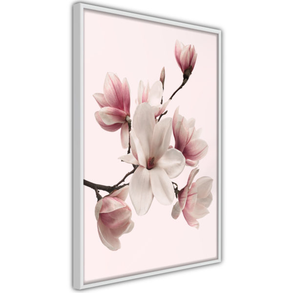 Apportez une nouvelle douche déco avec le Poster et affiche - Blooming Magnolias I