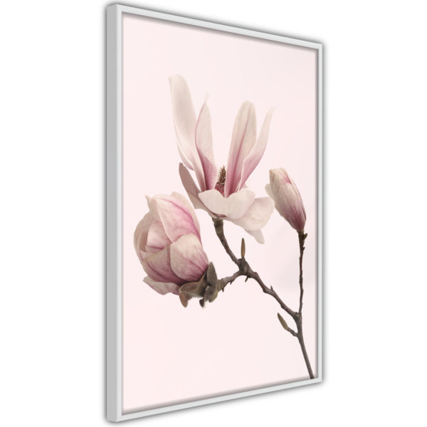Apportez une nouvelle douche déco avec le Poster et affiche - Blooming Magnolias II