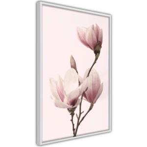 Apportez une nouvelle douche déco avec le Poster et affiche - Blooming Magnolias III